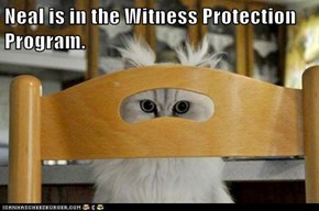 Neal is in the Witness Protection Program.