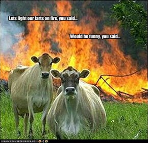 Lets light our farts on fire, you said...