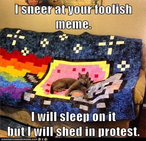 I sneer at your foolish meme.  I will sleep on it                  but I will shed in protest.