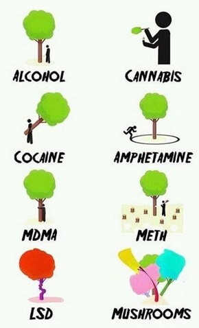 Drugs and Alcohol As Defined By a Tree