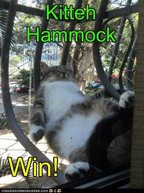Kitteh Hammock