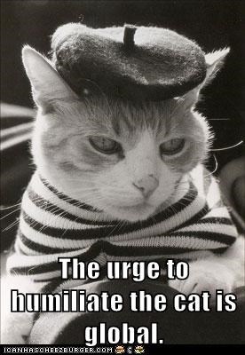 The urge to humiliate the cat is global.
