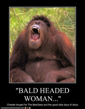 "BALD HEADED WOMAN..."