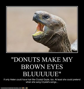 "DONUTS MAKE MY BROWN EYES BLUUUUUE"