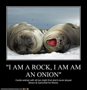 "I AM A ROCK, I AM AM AN ONION"
