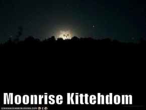 Moonrise Kittehdom