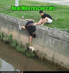 Real Men rescue cats