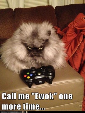 Call me "Ewok" one more time...