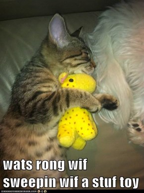 wats rong wif sweepin wif a stuf toy