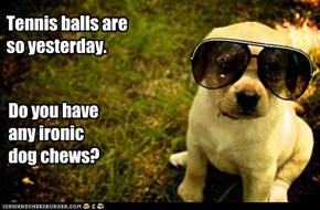Hipster Dog says, "Not unless it's made by American Apparel."