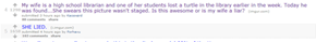 reddit is always right.