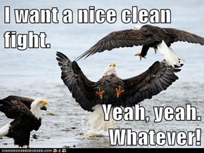 I want a nice clean fight.  Yeah, yeah.  Whatever!