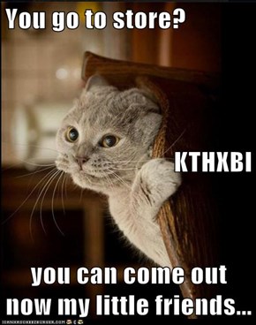 You go to store? KTHXBI you can come out now my little friends...