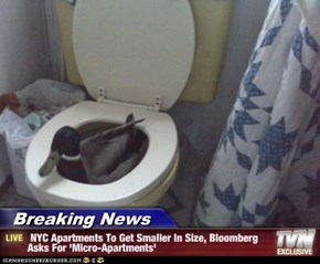 Breaking News -  NYC Apartments To Get Smaller In Size, Bloomberg Asks For 'Micro-Apartments'
