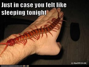Just in case you felt like sleeping tonight