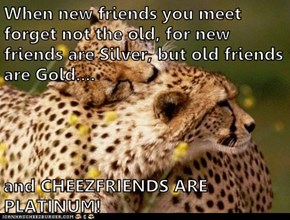 When new friends you meet forget not the old, for new friends are Silver, but old friends are Gold....  and CHEEZFRIENDS ARE PLATINUM!