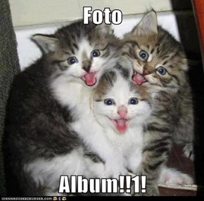 Foto   Album!!1!