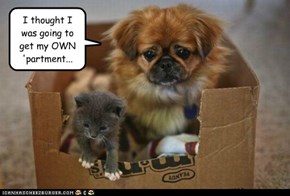 I thought I was going to get my OWN 'partment...