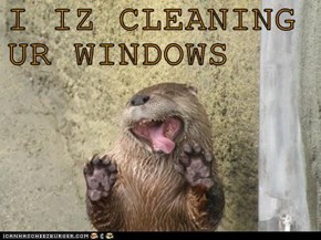 I IZ CLEANING UR WINDOWS