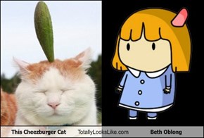 This Cheezburger Cat Totally Looks Like Beth Oblong