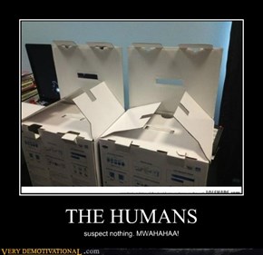 THE HUMANS