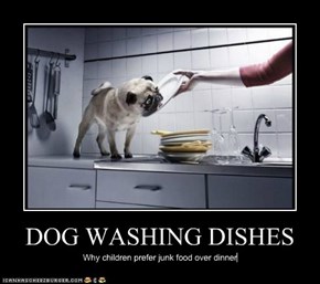 DOG WASHING DISHES