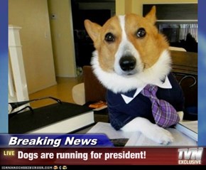 Breaking News - Dogs are running for president!