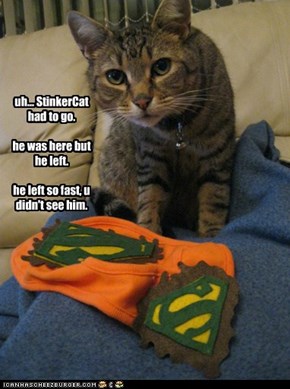 uh... StinkerCat had to go.    he was here but he left.  he left so fast, u didn't see him.