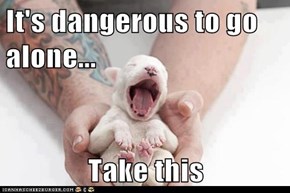It's dangerous to go alone...  Take this