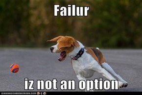 Failur  iz not an option