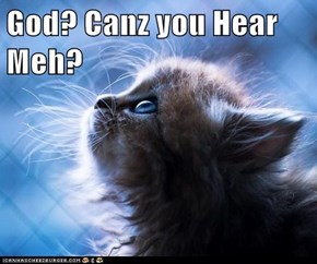 God? Canz you Hear Meh?