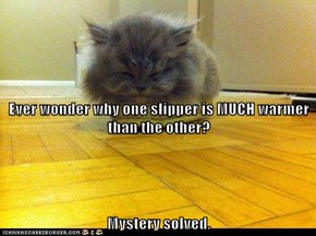 Ever wonder why one slipper is MUCH warmer than the other? Mystery solved.