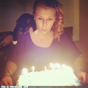 Cat Wants Cake