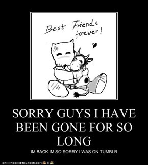 SORRY GUYS I HAVE BEEN GONE FOR SO LONG