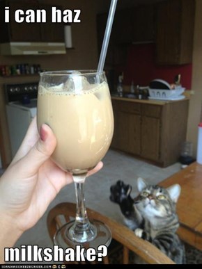 i can haz   milkshake?