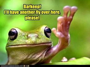 Barkeep! I'll have another fly over here, please!