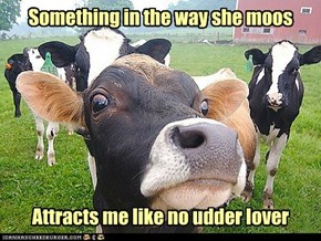 Watch Your Favorite LOLwork Characters and Their Smooth Moos!