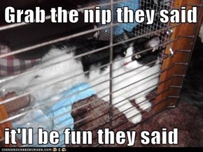Grab the nip they said  it'll be fun they said