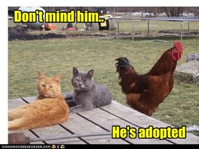He's Adopted