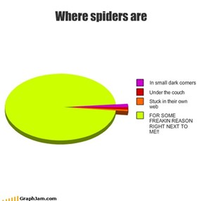 Where spiders are