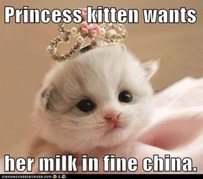 Princess kitten wants  her milk in fine china.