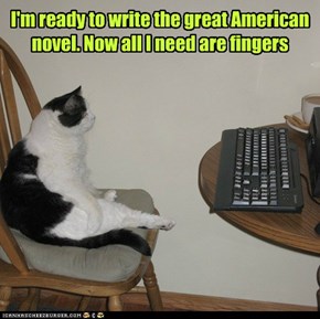 I'm ready to write the great American novel. Now all I need are fingers