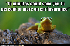 "15 minutes could save you 15 percent or more on car insurance"