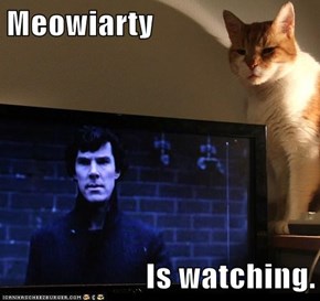Meowiarty  Is watching.
