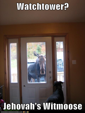Watchtower?  Jehovah's Witmoose