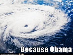 Because Obama