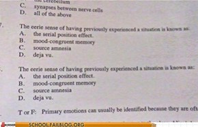 Well Played, Psych Exam