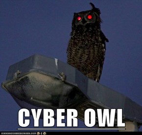 CYBER OWL