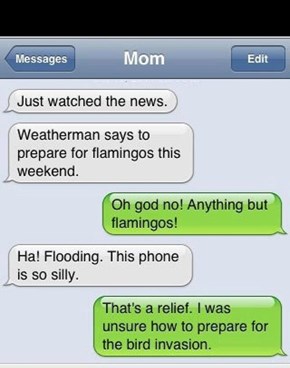 You Can't Predict Flamingos