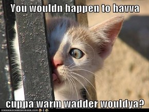 You wouldn happen to havva  cuppa warm wadder wouldya?